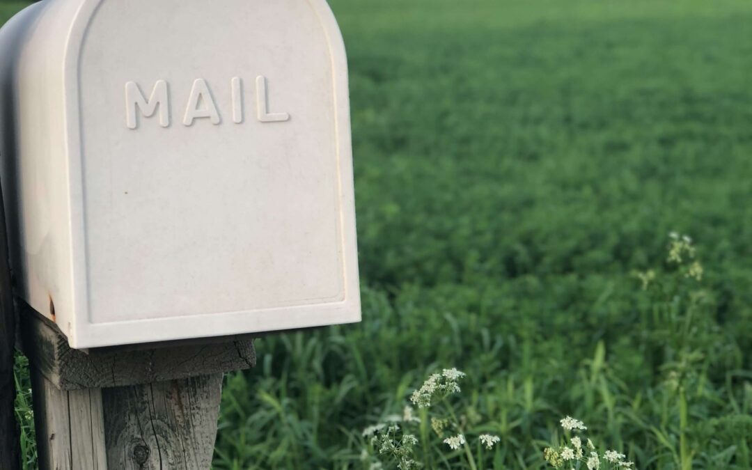 Maximizing Your Catalog’s Postage Savings with Co-Mailing